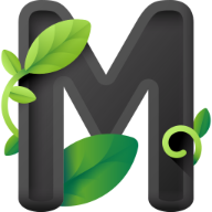 Особняк Мелиора Плейс